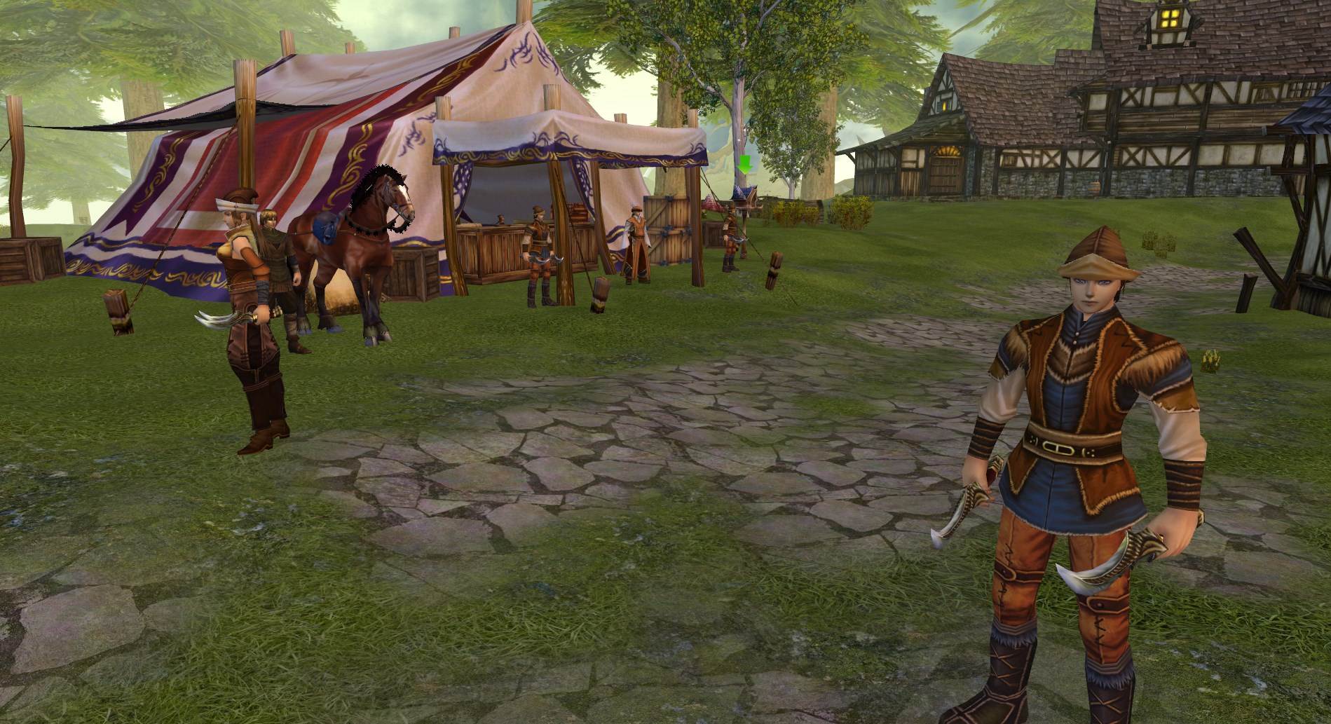 Silverfall — Aslan Valley